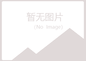 湛江霞山问雁水泥有限公司